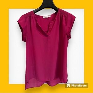 DR2 Pink Sheer Ruffle Sleeve Blouse XS